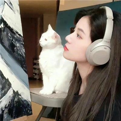 心软的使者